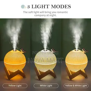 በኤሌክትሪክ የሚሰራ
የራሱ መብራት ያለው