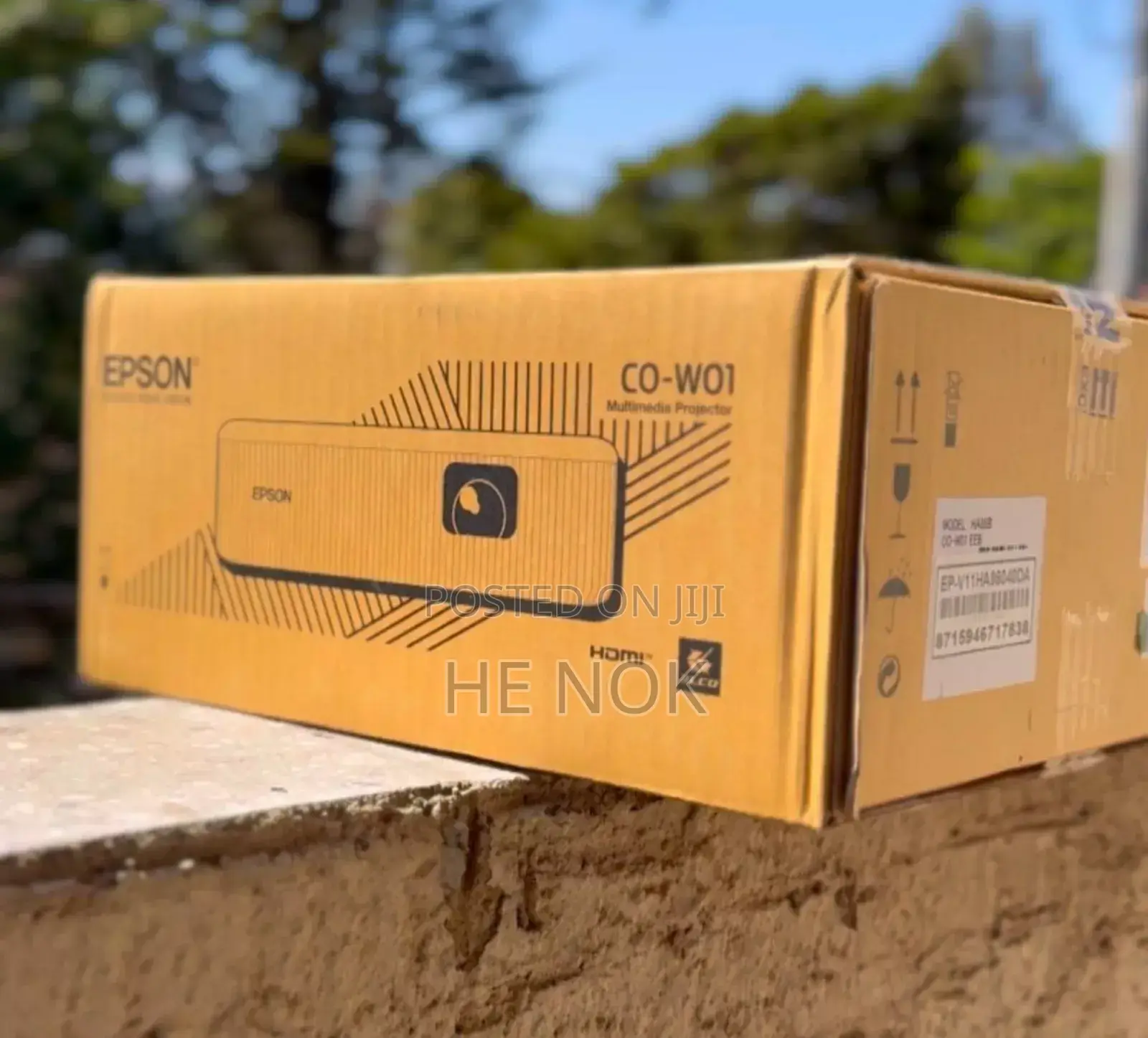 Epson Co-W01 Projector