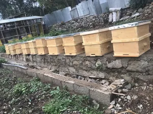 Beehive (Langstroth) Hive Equipment