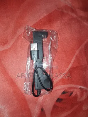 Lithium Ion Batteries Charger