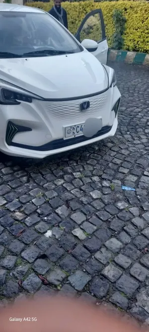 Photo - Changan BenBen E-Star 2023 White