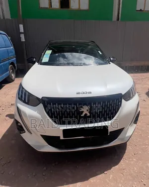 Photo - Peugeot 2008 2022 White