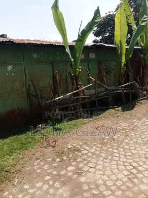 Photo - Furnished 1bdrm House in Akaky Kaliti for sale