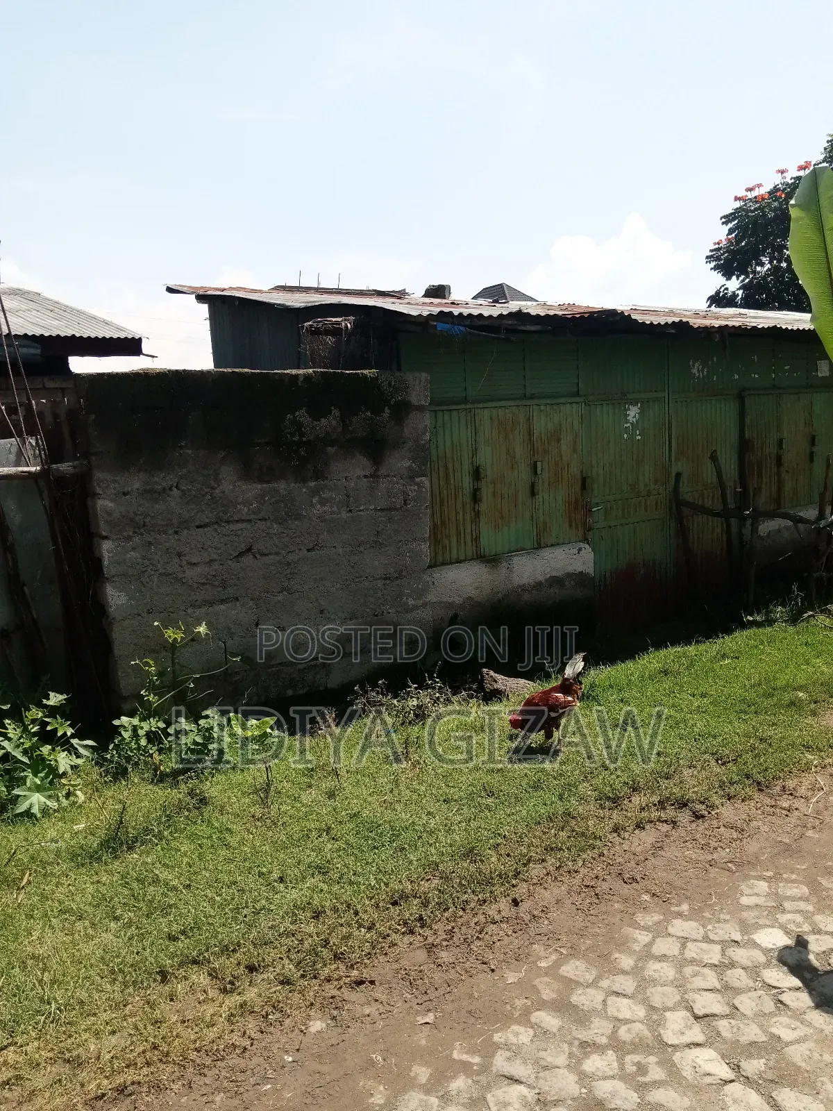 Furnished 1bdrm House in Akaky Kaliti for sale