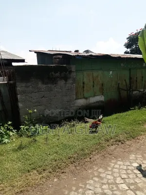 Furnished 1bdrm House in Akaky Kaliti for sale