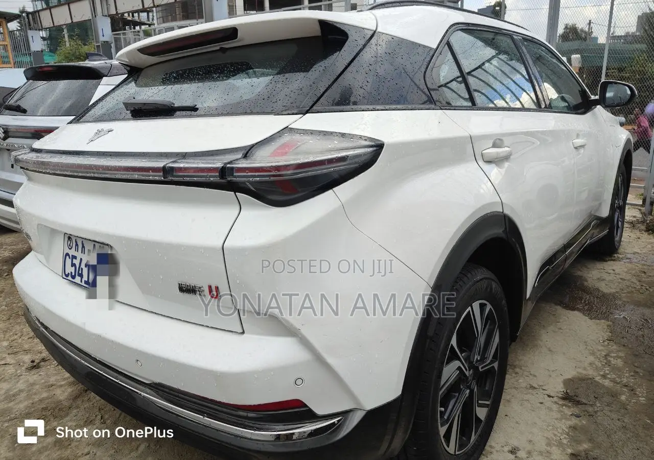 Hozon Neta U 2023 White