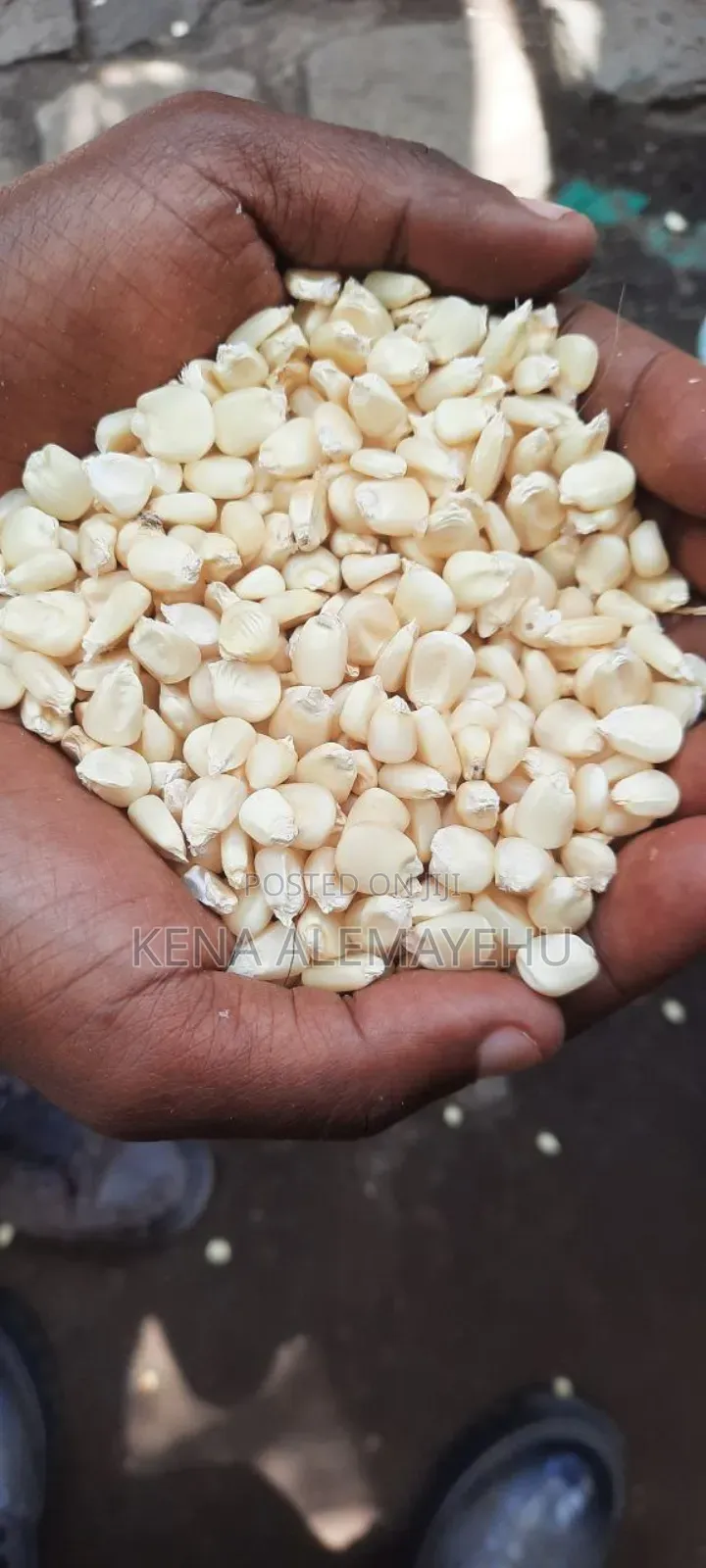 Maize for Flour Factory