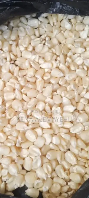 Maize for Flour Factory