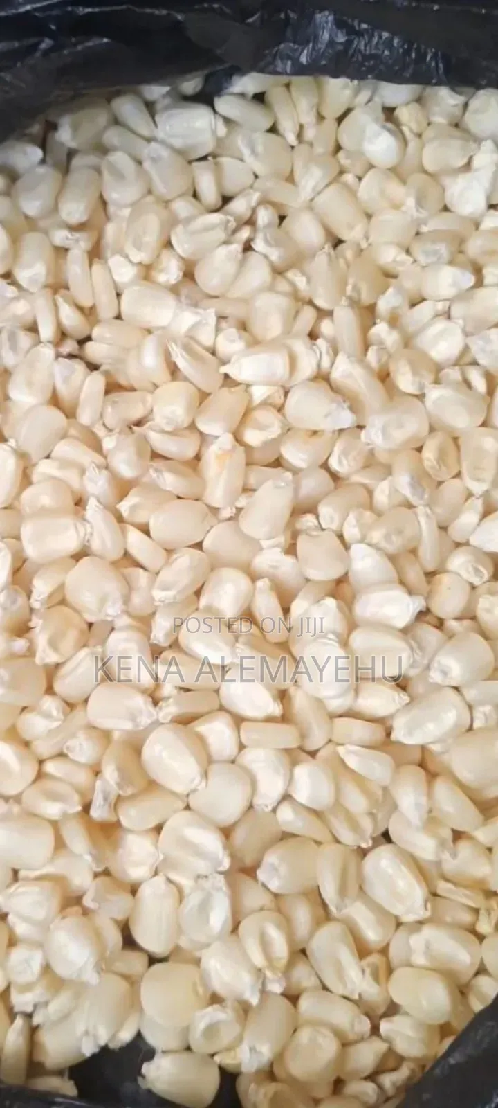 Maize for Flour Factory
