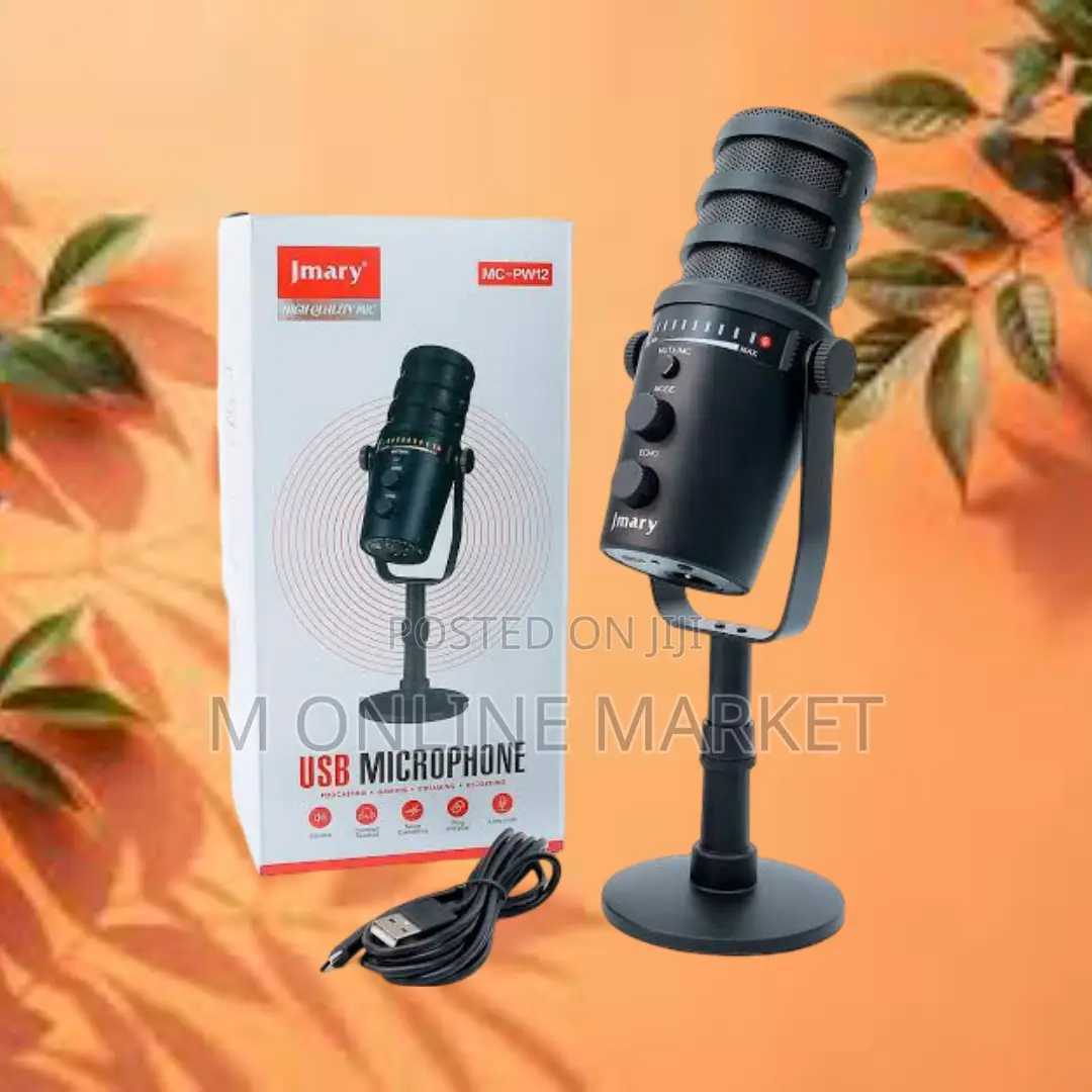 The Jmary Mc Pw12: Your Voice, in High Definition