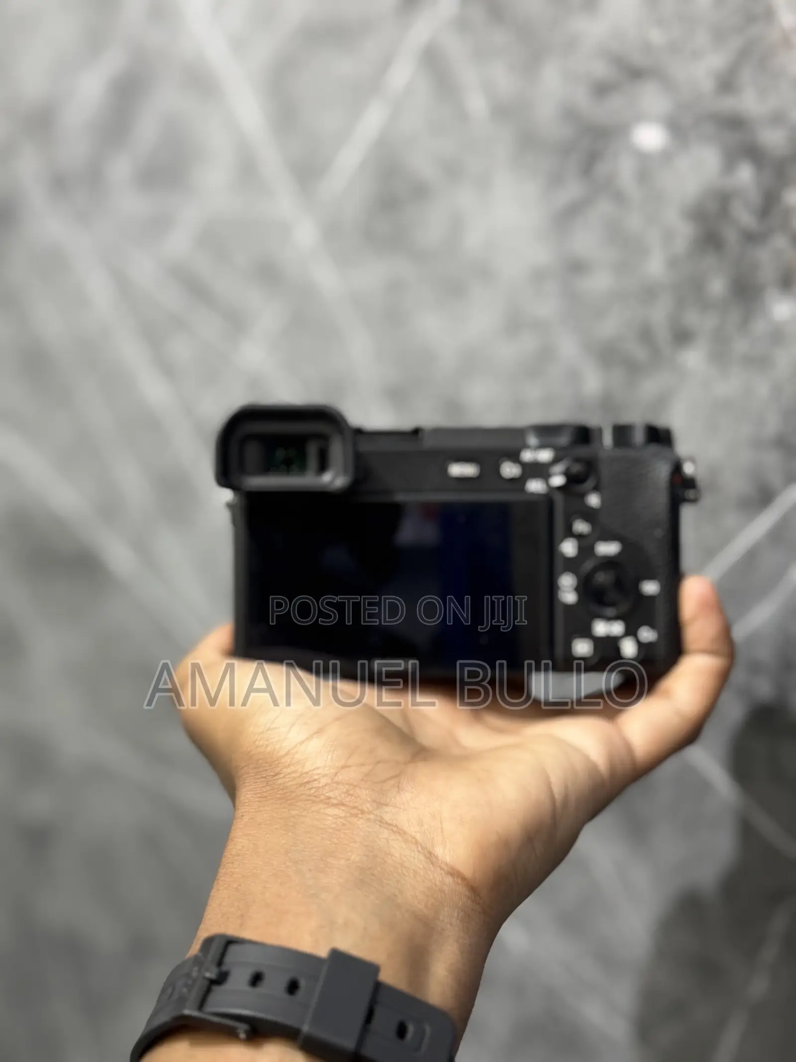 Sony A6600 Mirrorless Camera