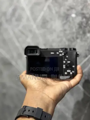 Sony A6600 Mirrorless Camera