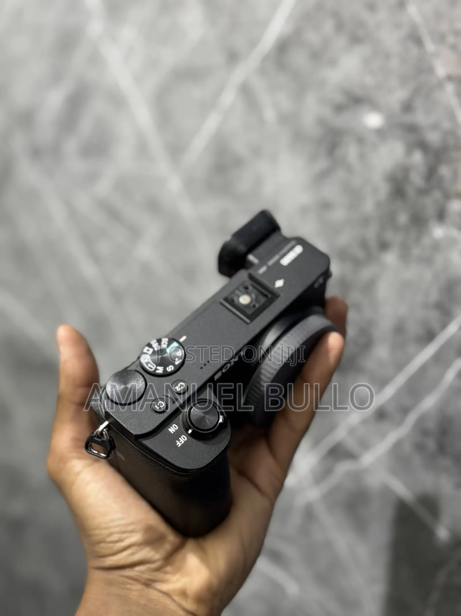 Sony A6600 Mirrorless Camera