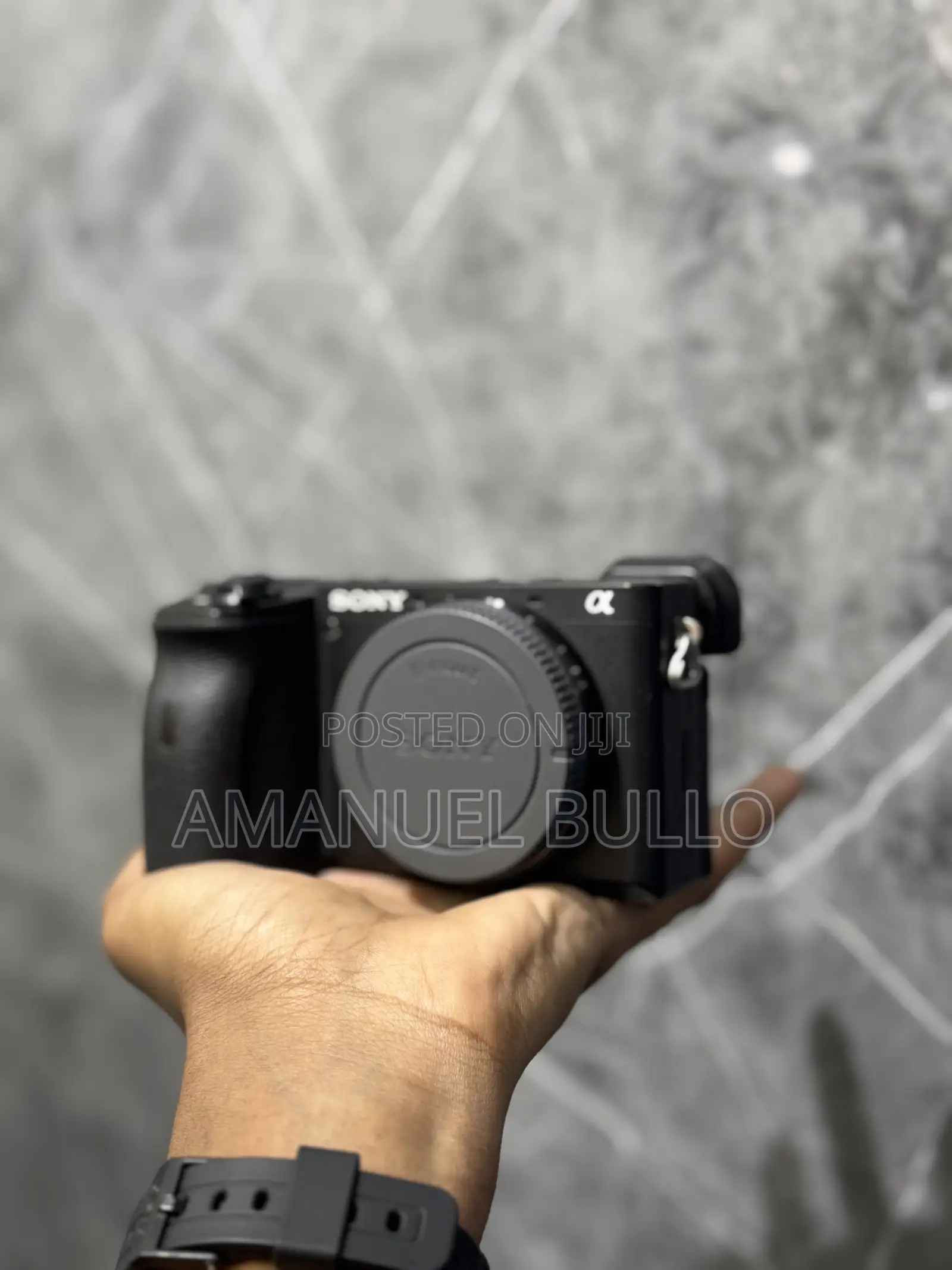 Sony A6600 Mirrorless Camera