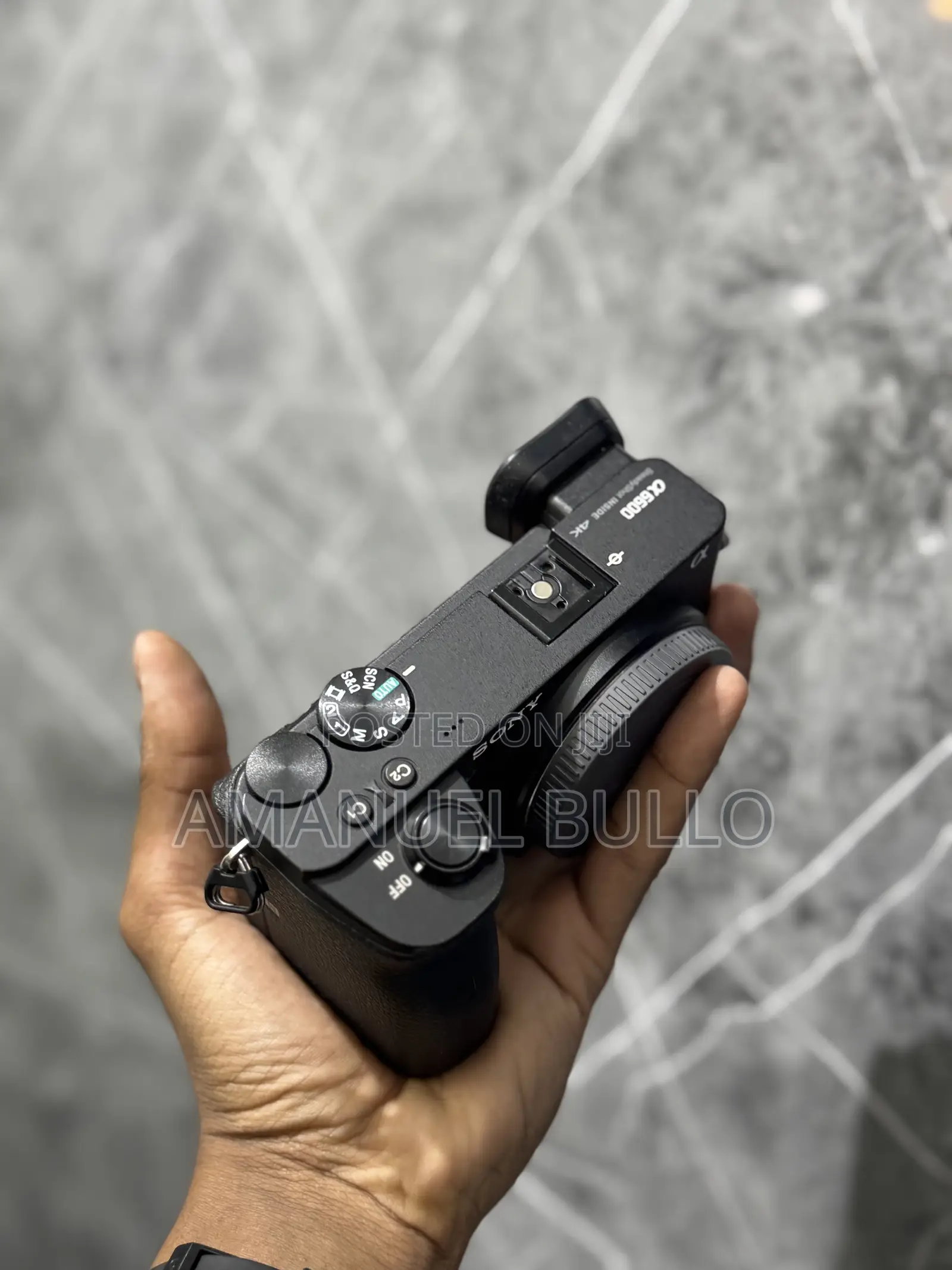 Sony A6600 Mirrorless Camera
