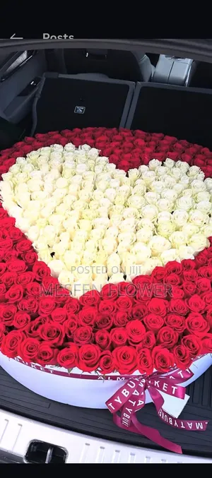 Photo - Addis Abeba Bole