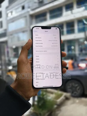 Apple iPhone 13 Pro Max 256 GB