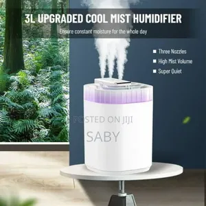 በኤሌክትሪክ የሚሰራ Three Nozzles Humidifier