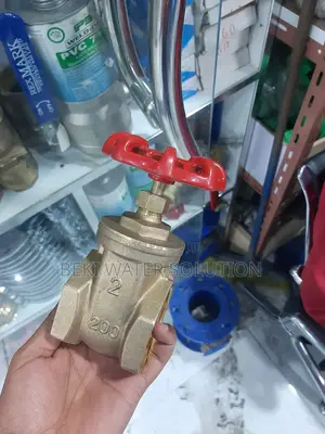 Gs Gate Valve 20_75