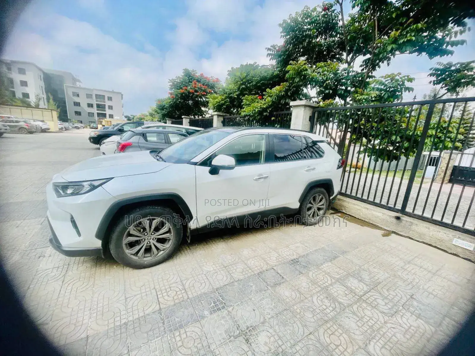 Toyota RAV4 2022 White