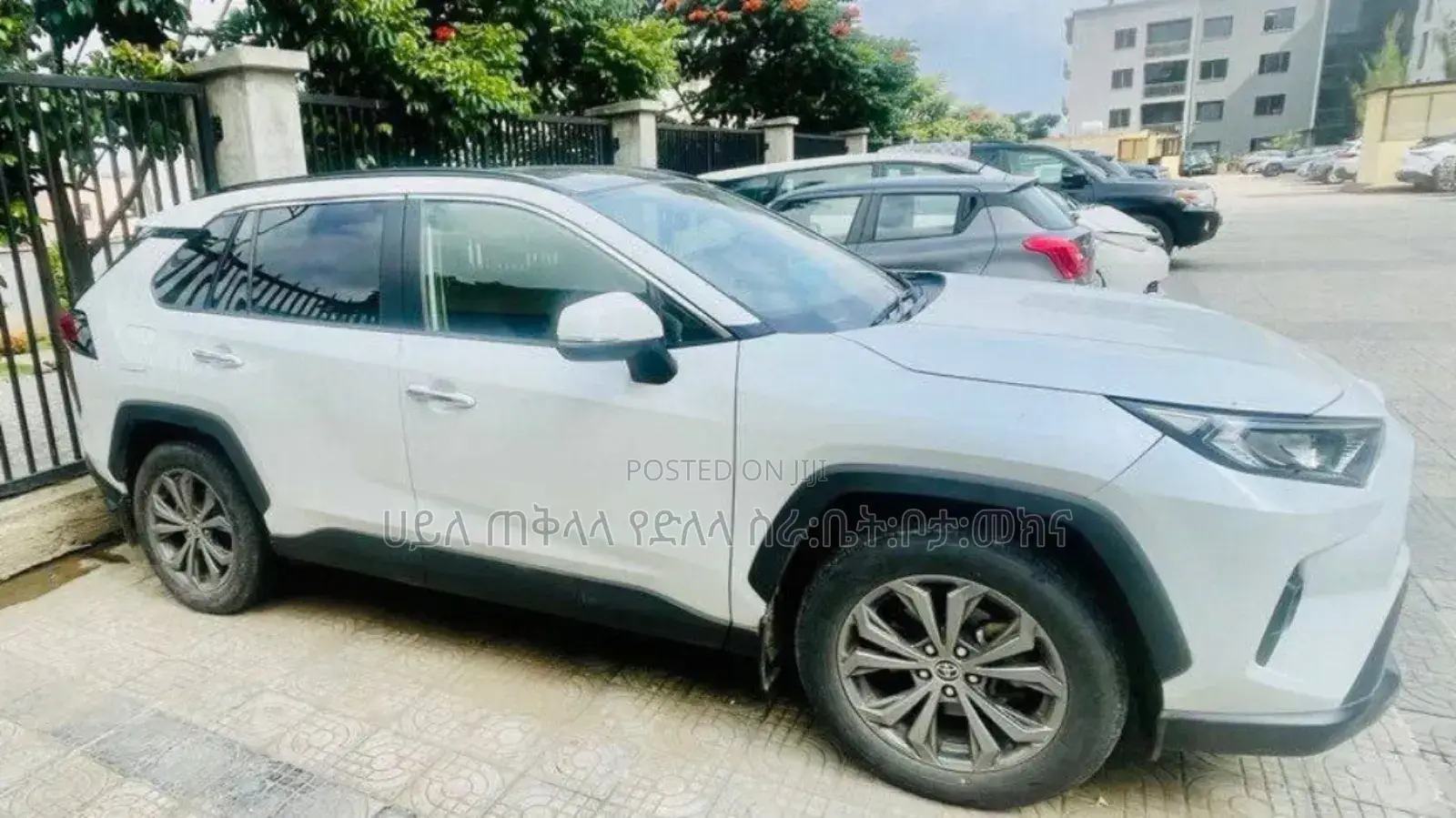 Toyota RAV4 2022 White