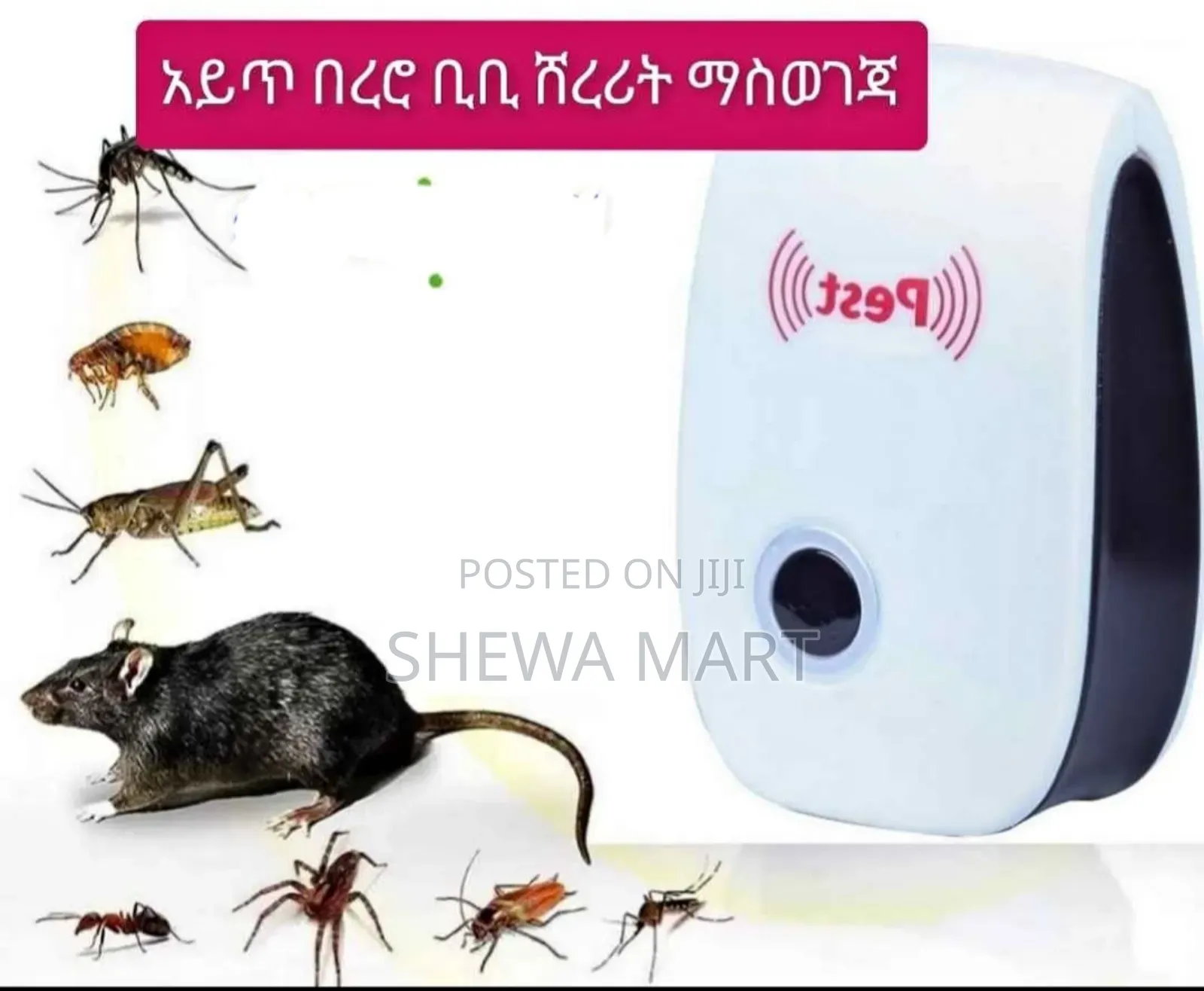 በረሮ ቢንቢ አይጥ ሸረሪት እና ሌሎችም ነፍሳት እና ተባዮችን እስከ መጨረሻ ድረስ ያስወግዳል