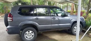 Toyota Land Cruiser Prado 2004 Gray