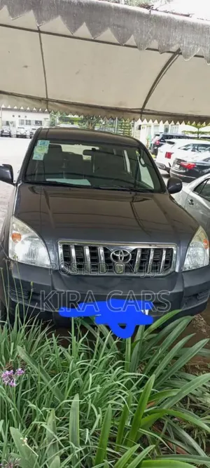 Toyota Land Cruiser Prado 2004 Gray
