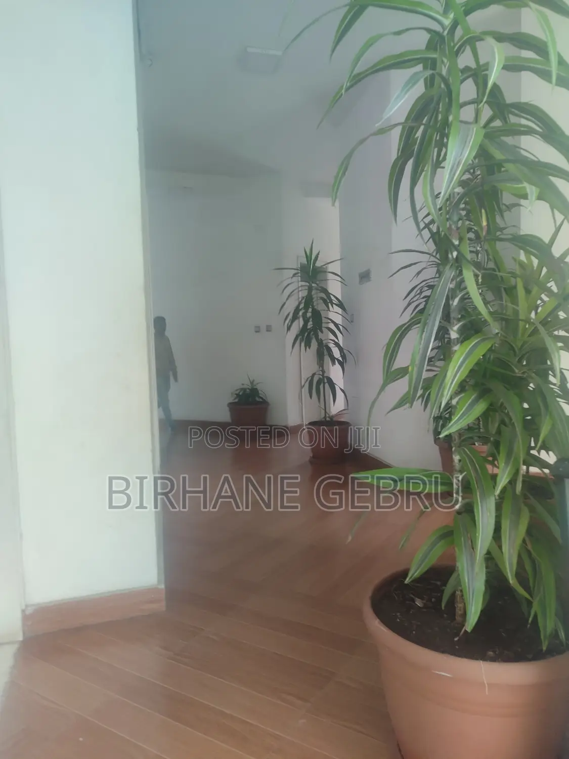 Studio Apartiment for Rent