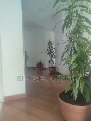 Studio Apartiment for Rent