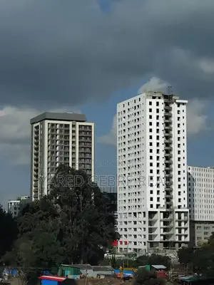 3bdrm Apartment in Tata Construction Pl, Kirkos for sale