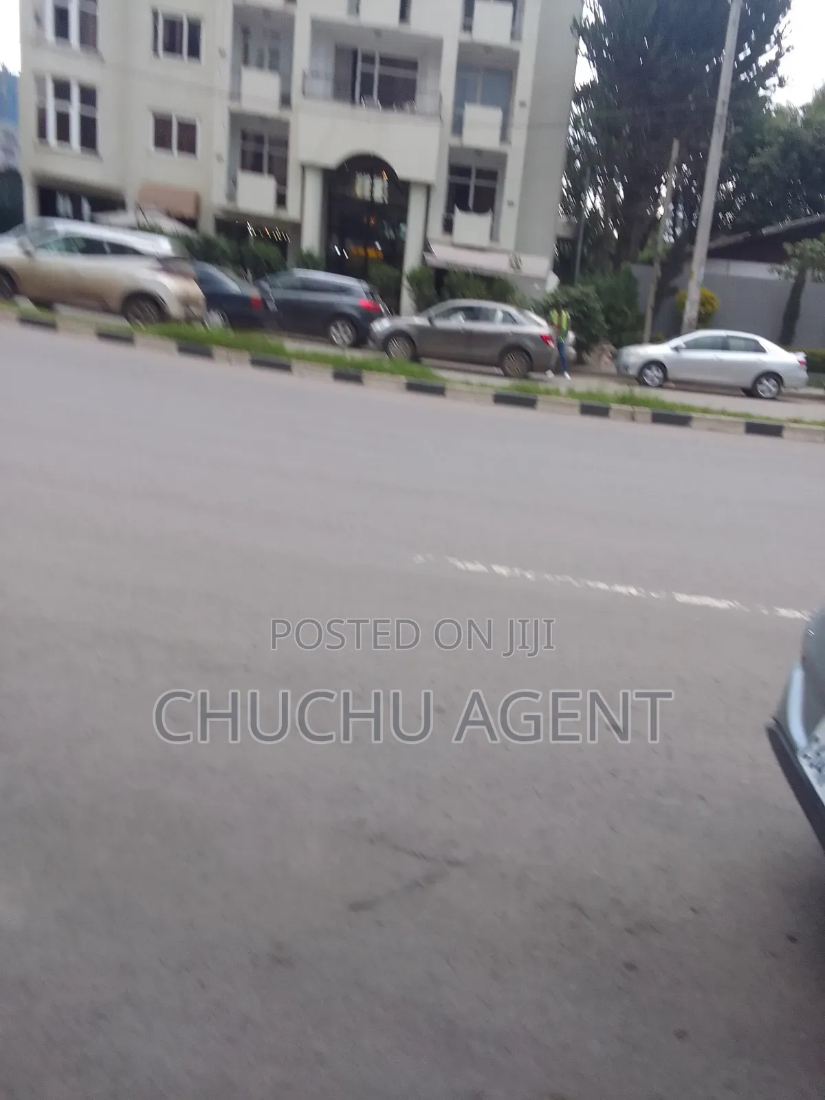 Rent for Restaurant or Lounge Cafe