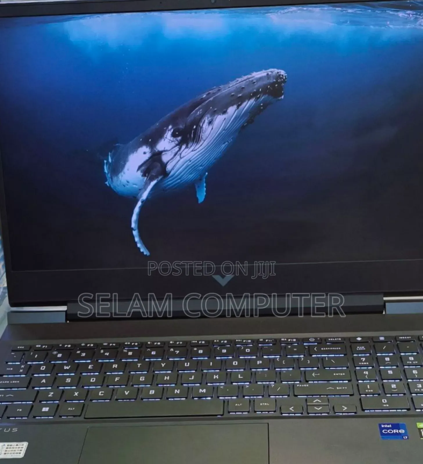 New Laptop HP Victus 15 16GB Intel Core I7 SSD 512GB