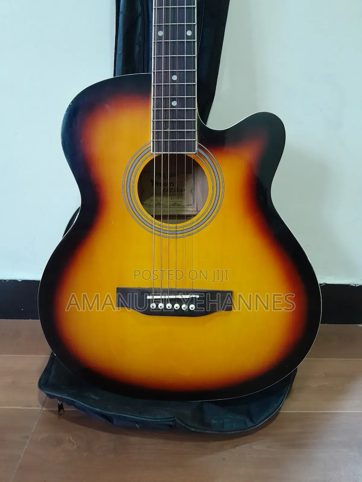 Dream Catcher Acoustic Guitar