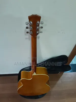 Dream Catcher Acoustic Guitar