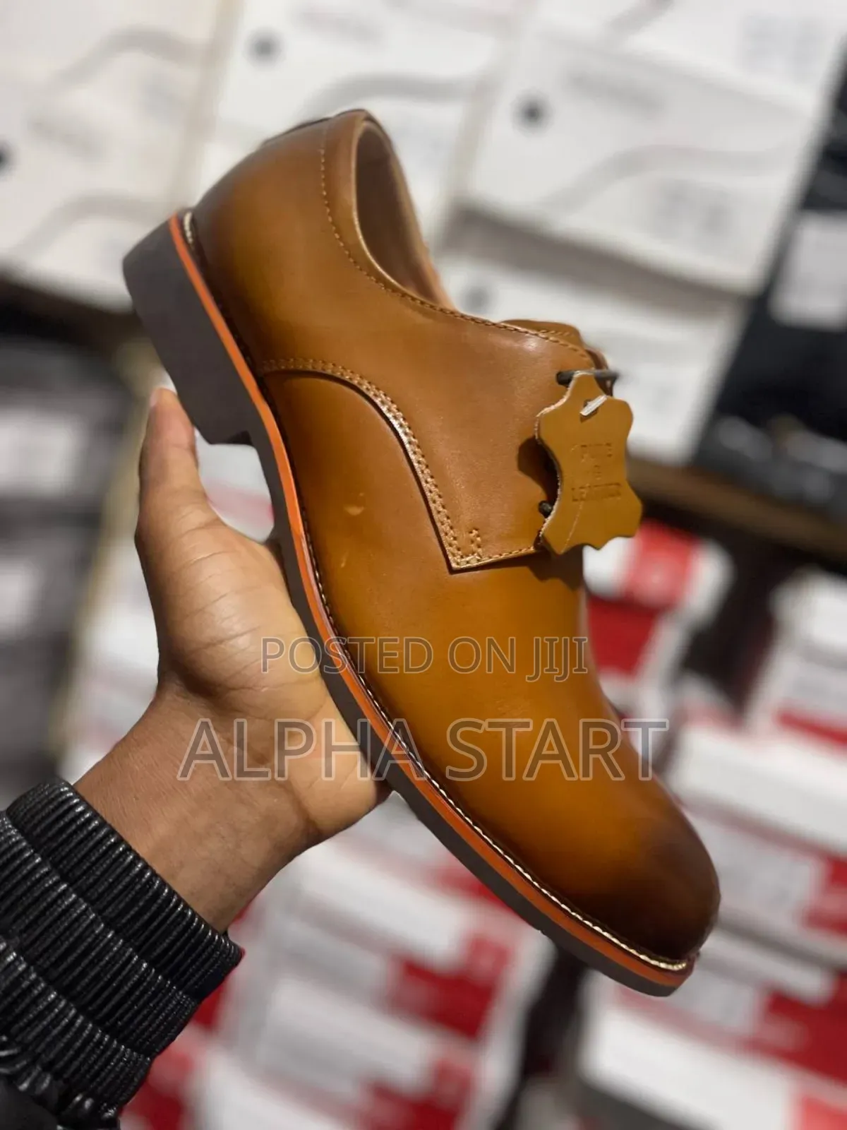 Franco Banati Premium Quality New Arrival  