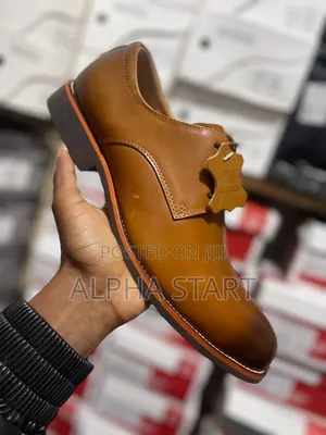 Photo - Franco Banati Premium Quality New Arrival  