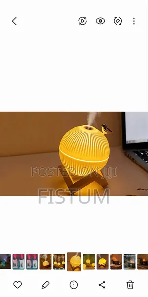 Photo - Moon Light Defuser/Humidifier