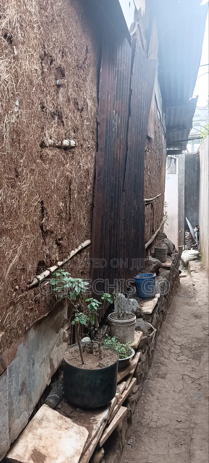 1bdrm House in Gullele for sale