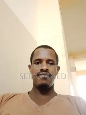 Computing and It Sales Officer