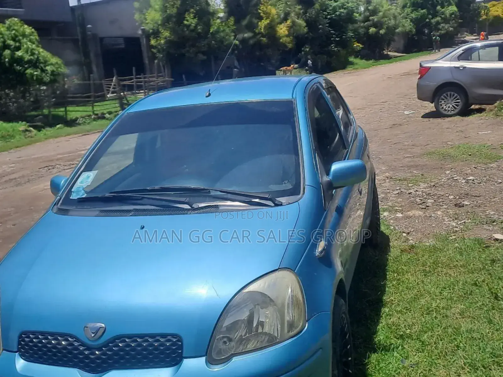 Toyota Vitz 2003 Blue