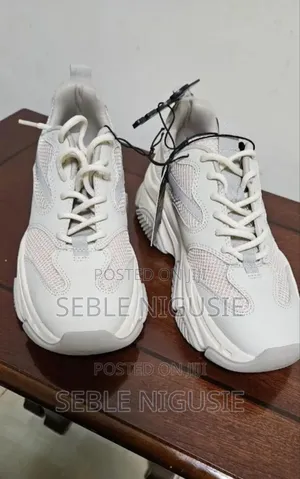 Steve Madden Sneaker Gray