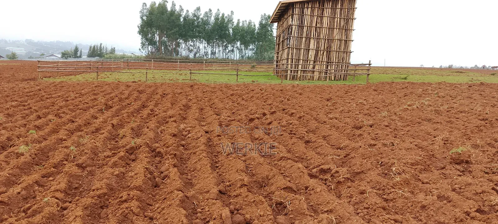 የማሸጥ መሬት 250 ካሬ