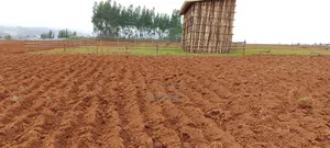 Photo - የማሸጥ መሬት 250 ካሬ