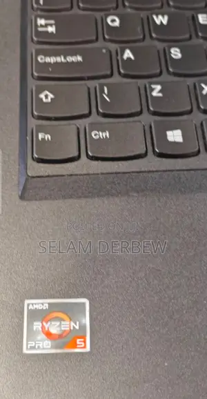New Laptop Lenovo ThinkPad T495s 16GB AMD Ryzen 5 SSD 512GB