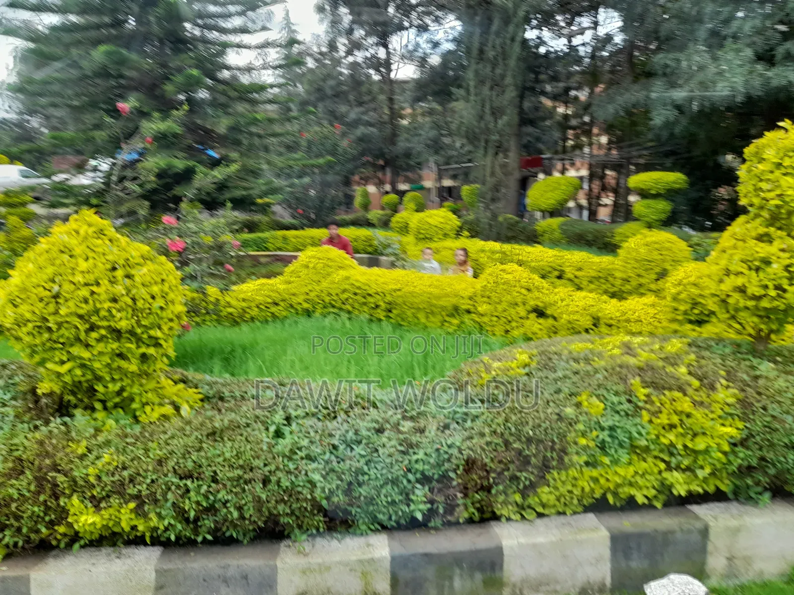 2bdrm House in Kirkos for rent