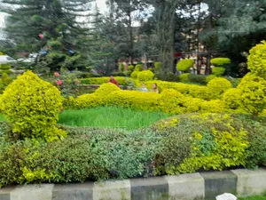 2bdrm House in Kirkos for rent