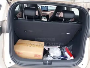 New BYD Seagull 2024 White