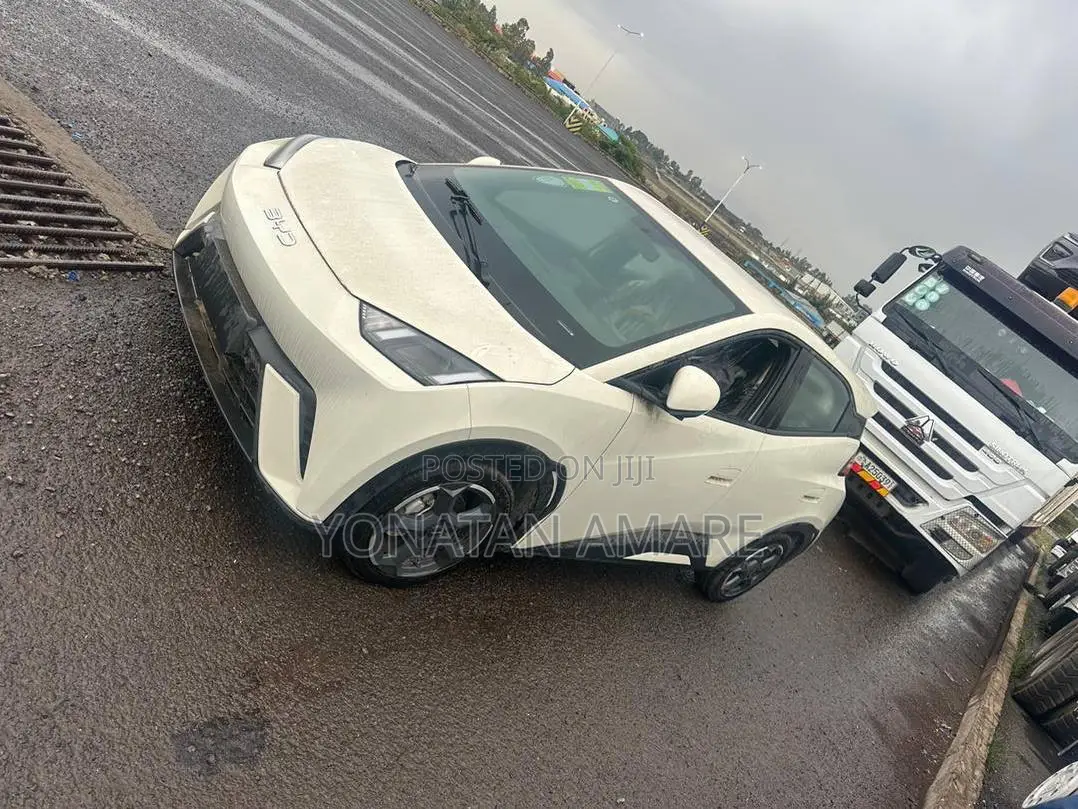 New BYD Seagull 2024 White