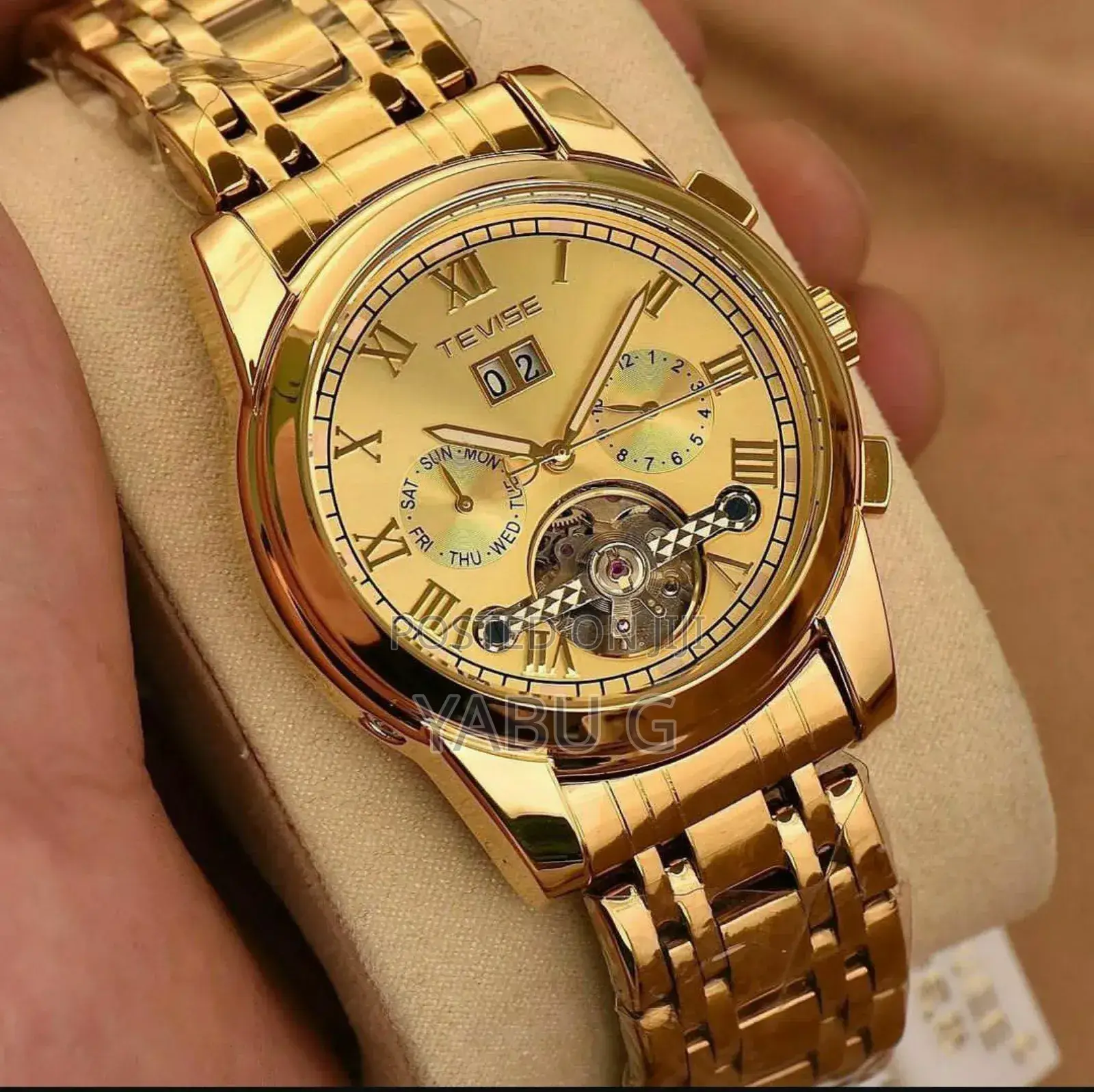 Mechanical Watch Men Automatic Watches Luxury Brand Tevise